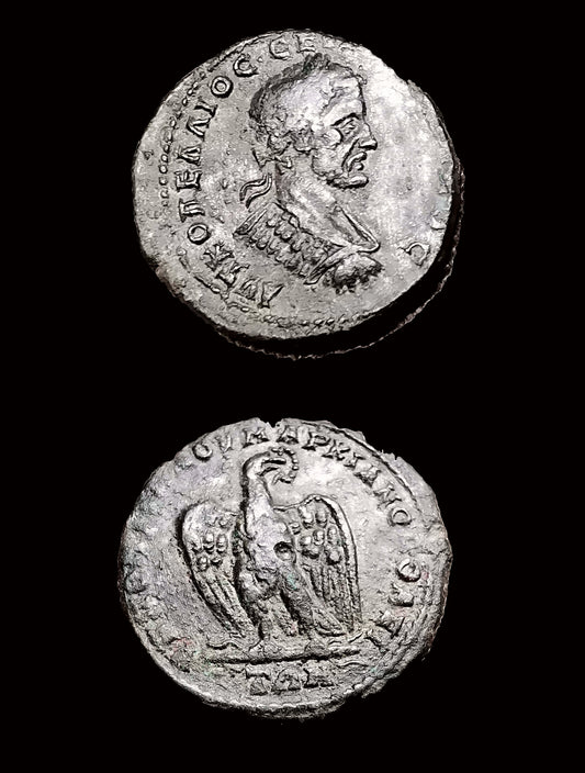 MOESIA INFERIOR, Marcianopolis. Macrinus. AD 217-218. Æ (26mm, 10.28